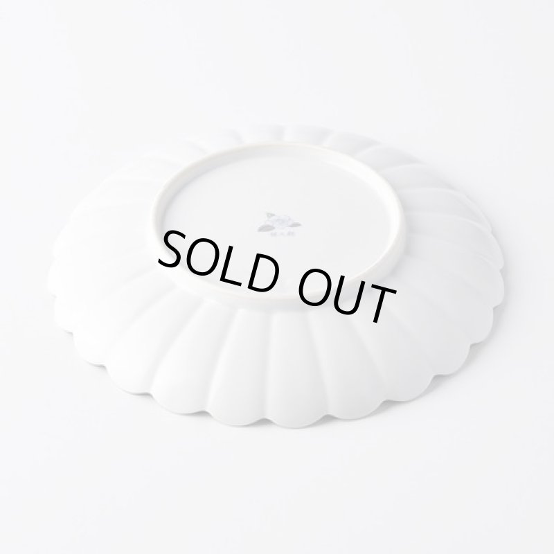 画像4: kotohogu昴 18cm皿beni (4)