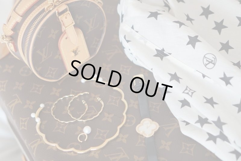 画像3: Sweet alyssum choker (3)