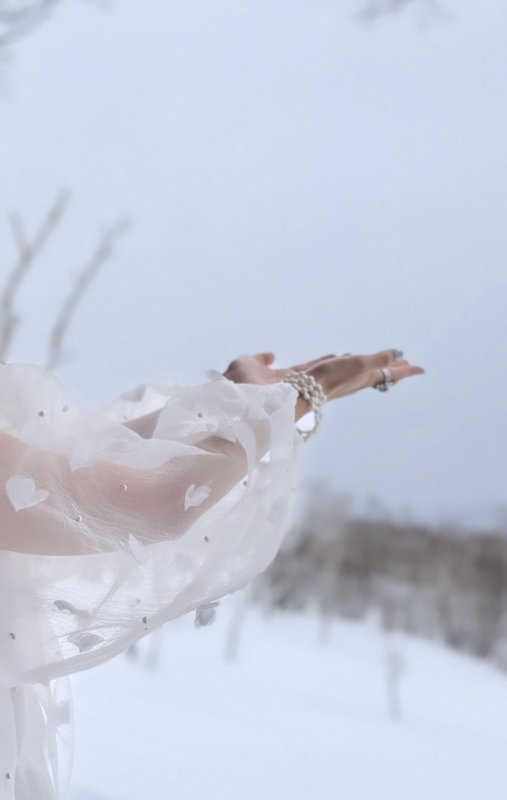 画像8: Heart Pearl Volume Blouse (8)