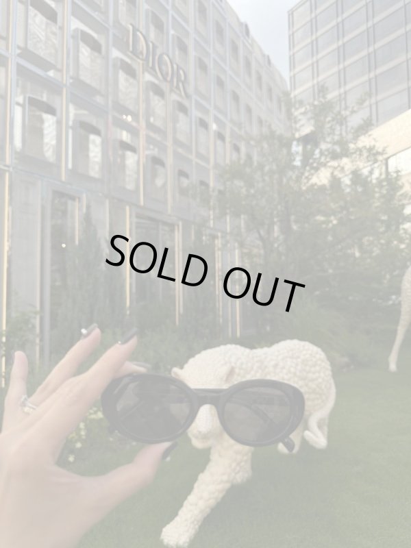 画像3: Ellipse Sunglasses  (3)