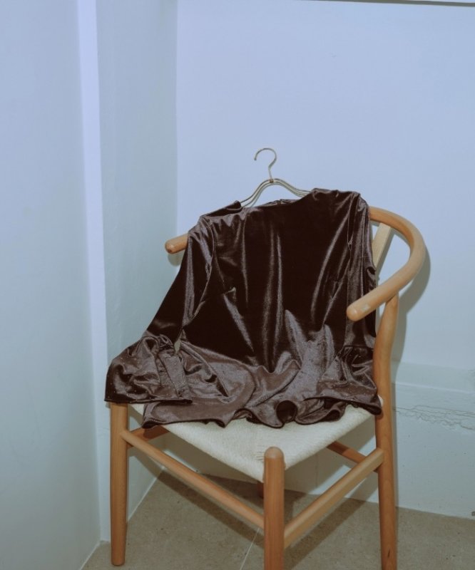 画像3: Velour Tops (3)
