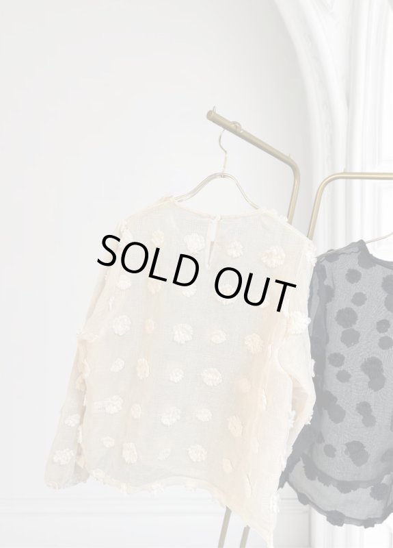 画像2:  Sheer Jacquard Blouse (2)