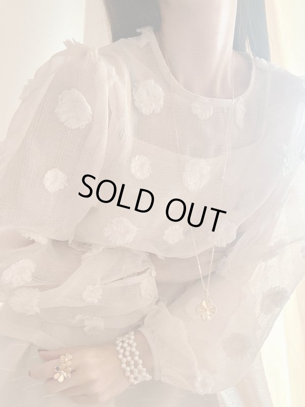 画像7:  Sheer Jacquard Blouse (7)