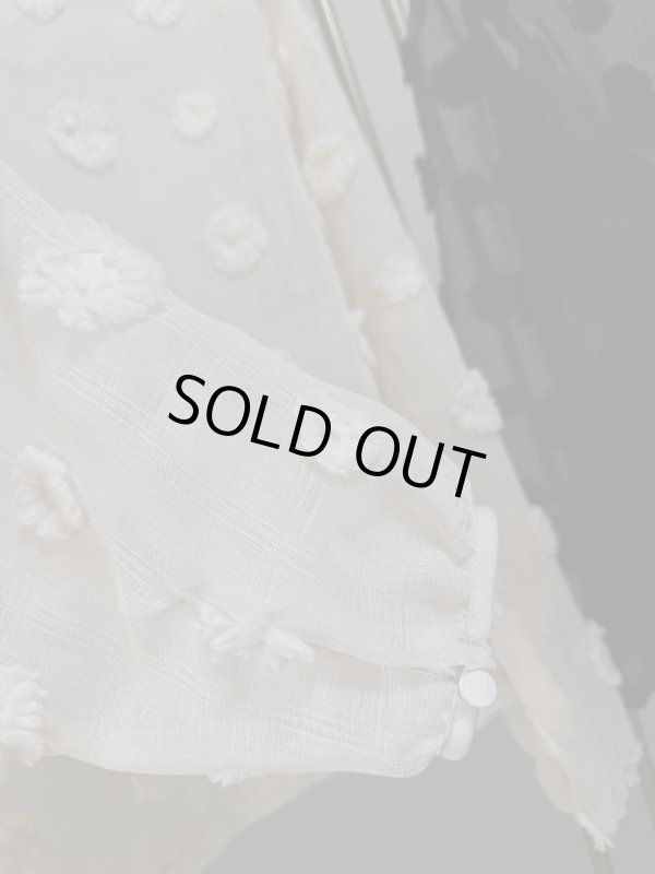 画像5:  Sheer Jacquard Blouse (5)