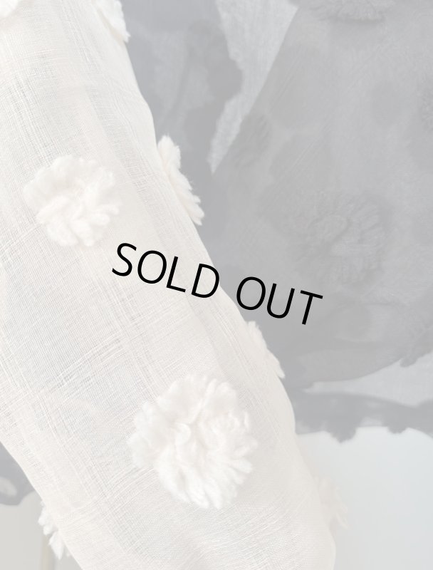 画像3:  Sheer Jacquard Blouse (3)