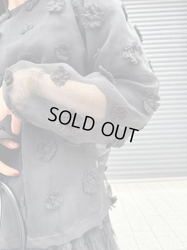 画像4:  Sheer Jacquard Blouse (4)