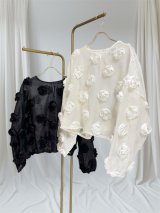 TOPS - HIAND