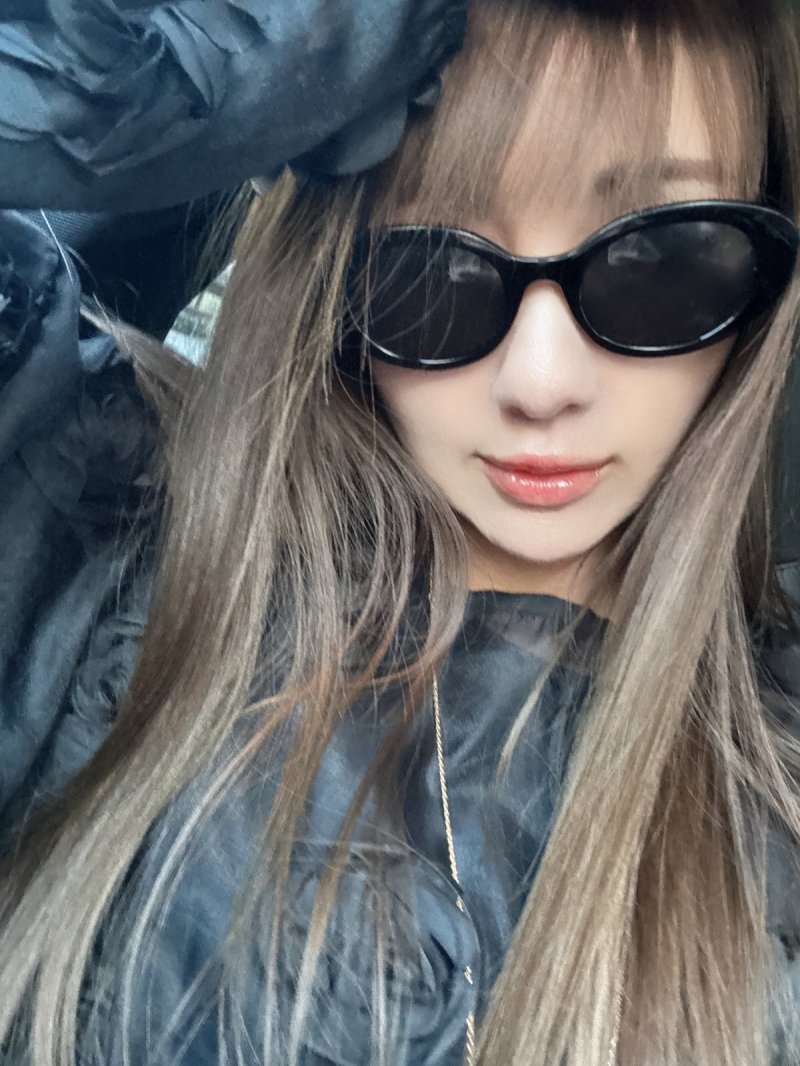 画像1: Ellipse Sunglasses 