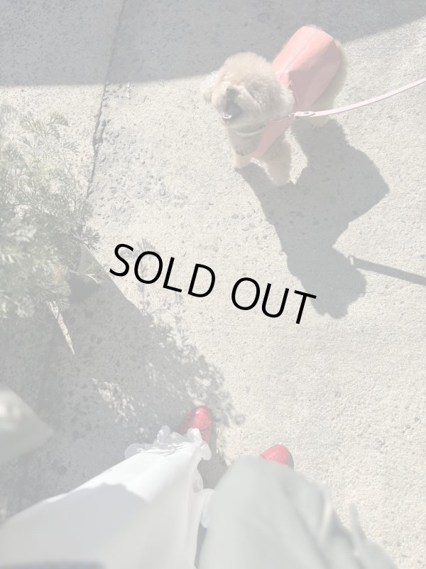 画像12: Suzuran Pants (12)