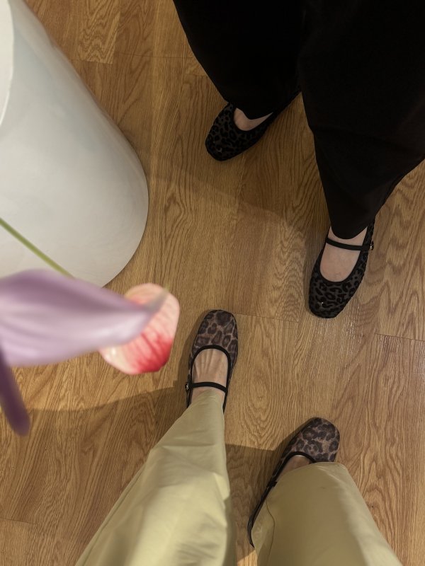 画像11: Sheer Leopard Mary Jane Pumps (11)