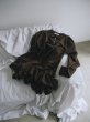 画像23: Neｗ Ruffled-Hem Polo Dress (23)